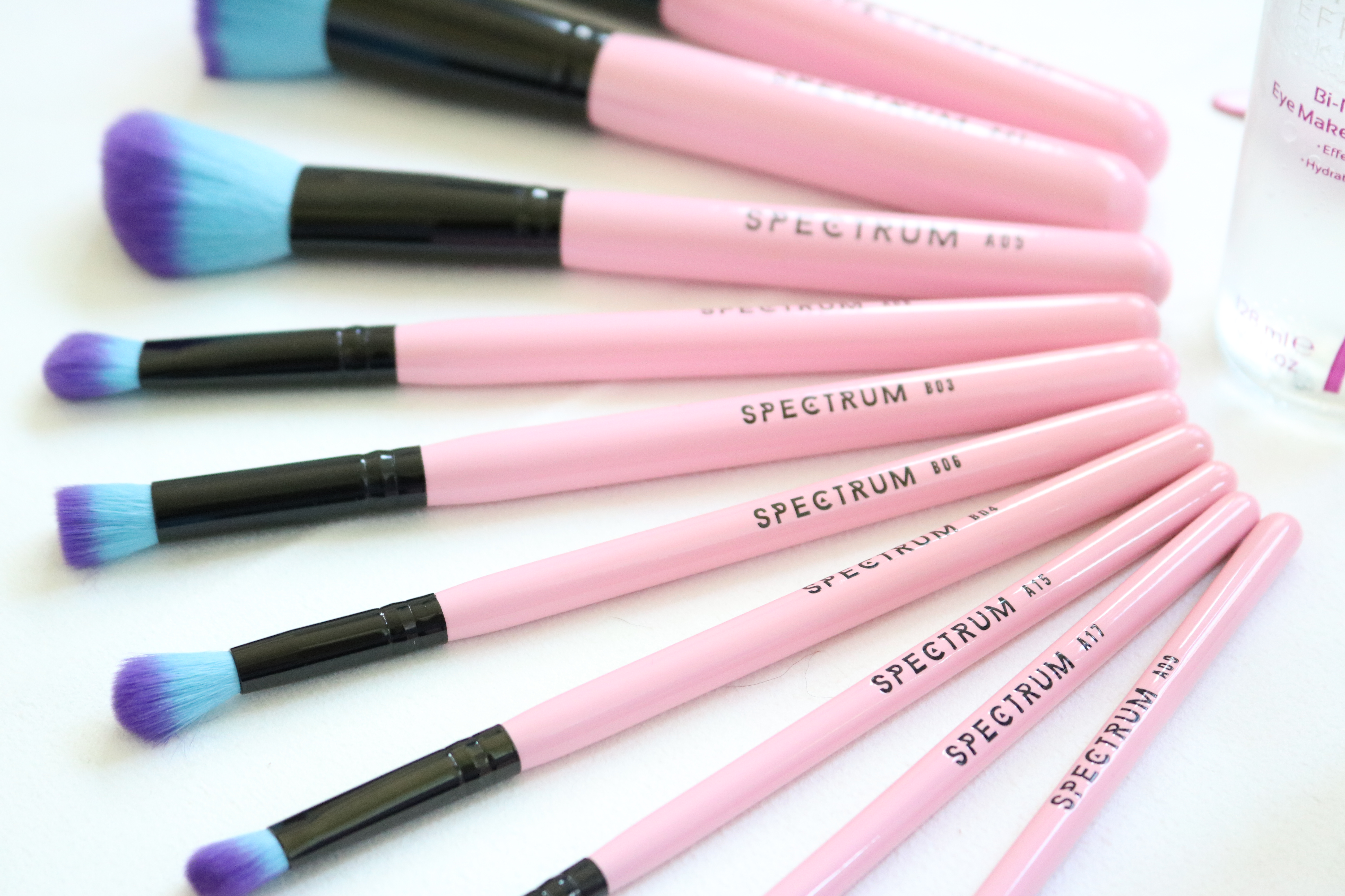 Spectrum Collections, Makeup brushes, 10 piece essential kit, Jodetopia