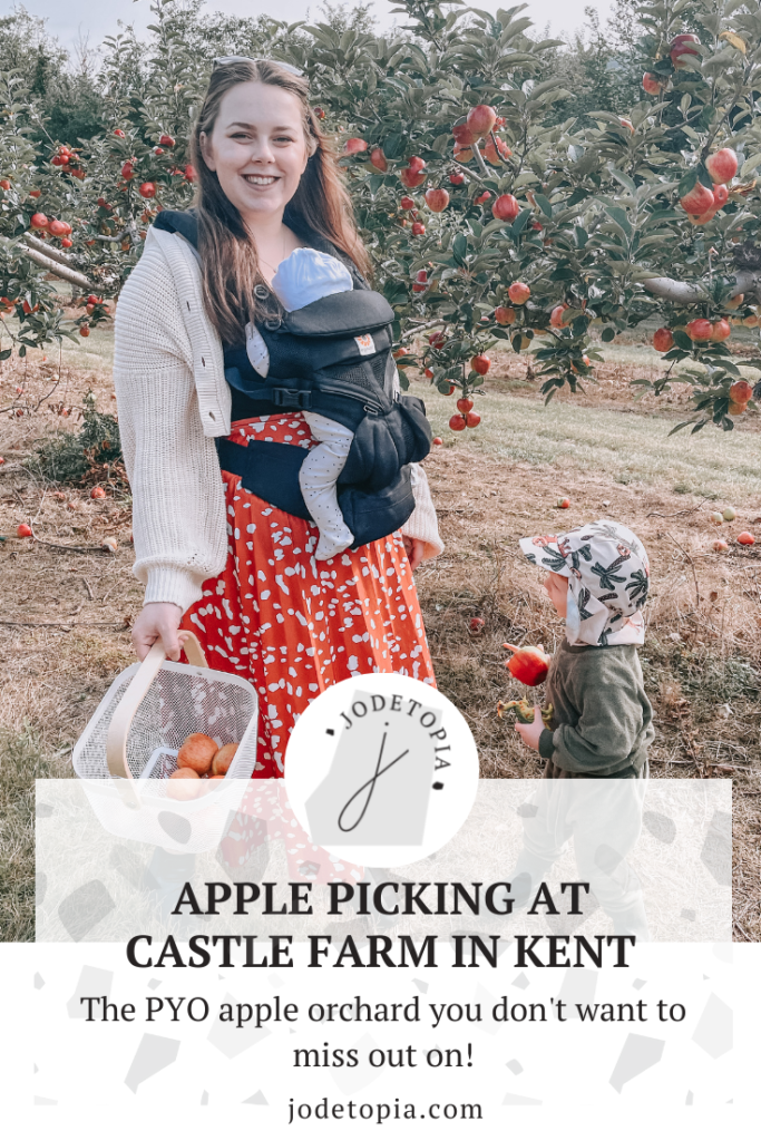 A woman standing in a PYO apple orchard as she has gone apple picking in Kent with her toddler