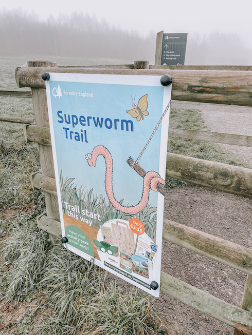 Superworm Trail at Jeskyns Community Woodlands